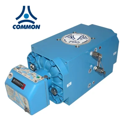 Medidores rotativos de gas natural CGR-FX, Common