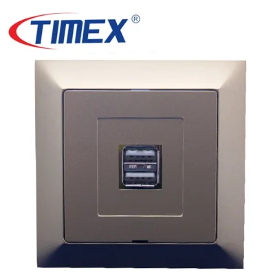 Placa toma USB doble PREMIUM dorado, Timex