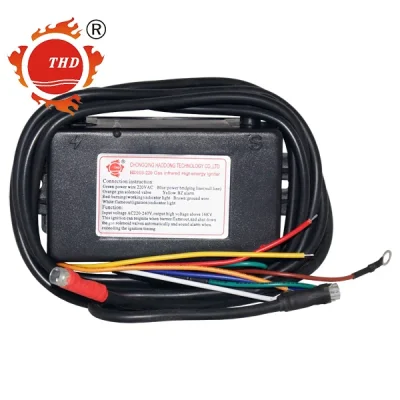 Controlador de llama con transformador de encendido HD103-220, Haodong