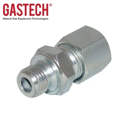 Terminal recto a compresión 1/4" OD x 1/4" (M) NPT, AISI 316, Gastech