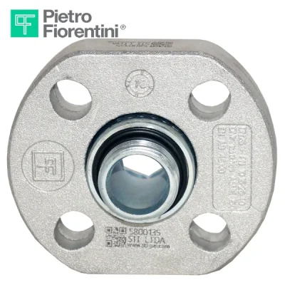 Brida 1" (ANSI 150) de cuello roscado, p/ reguladores, Pietro Fiorentini
