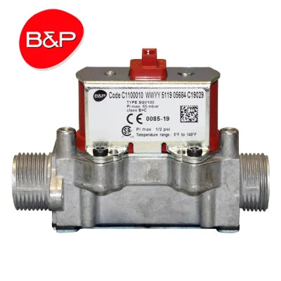 Válvula compacta de gas SGV100 B&P