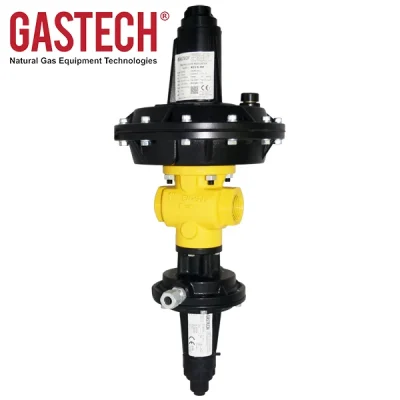 Reguladores de presión de acción directa R25/S Gastech
