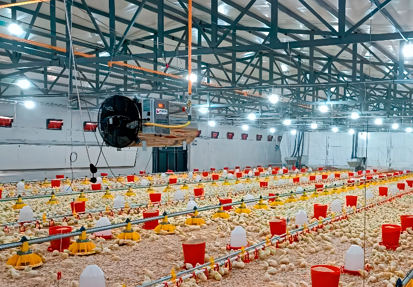 Calentador-de-aire-gas-MAGH100-100kW-Mira-Heating-2