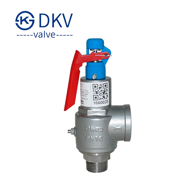 Valvula-alivio-vapor-7-10bar-DN25-A28H-16C-DKV-Valve