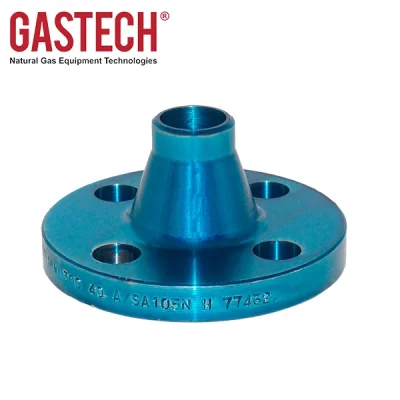 Bridas ANSI de cuello soldable Gastech – 1” ANSI 300 RF