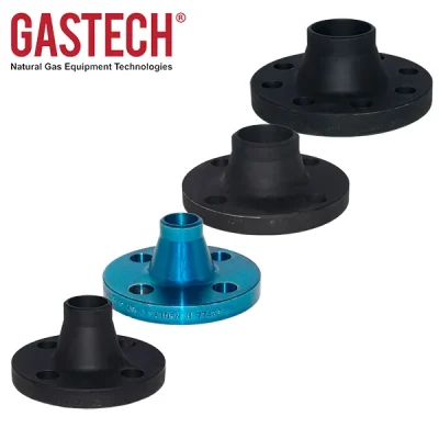 Bridas ANSI de cuello soldable, Gastech