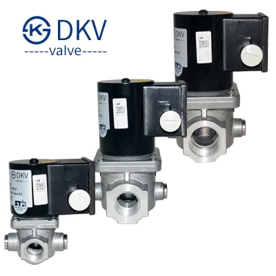 Electroválvulas para gas N.C. VE, DKV Valve